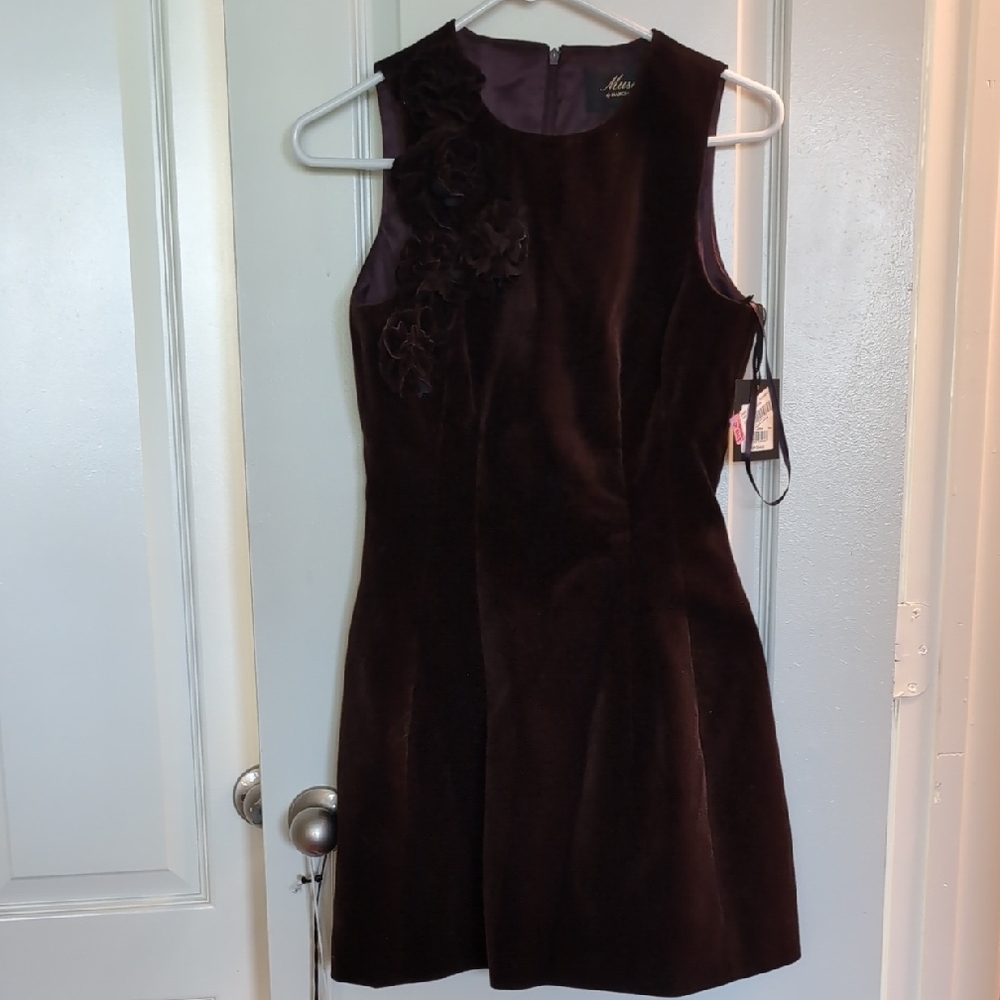Muse Brown Velvet Mini Dress